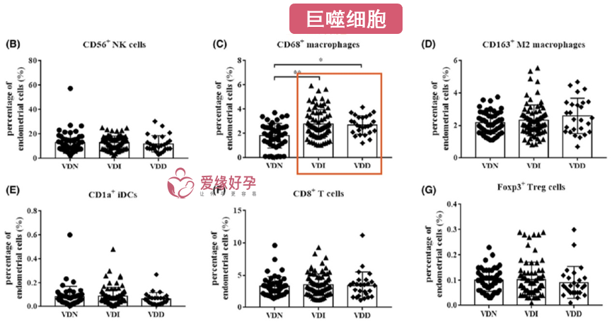 图5三个组别子宫内膜中巨噬细胞的比例变化.png