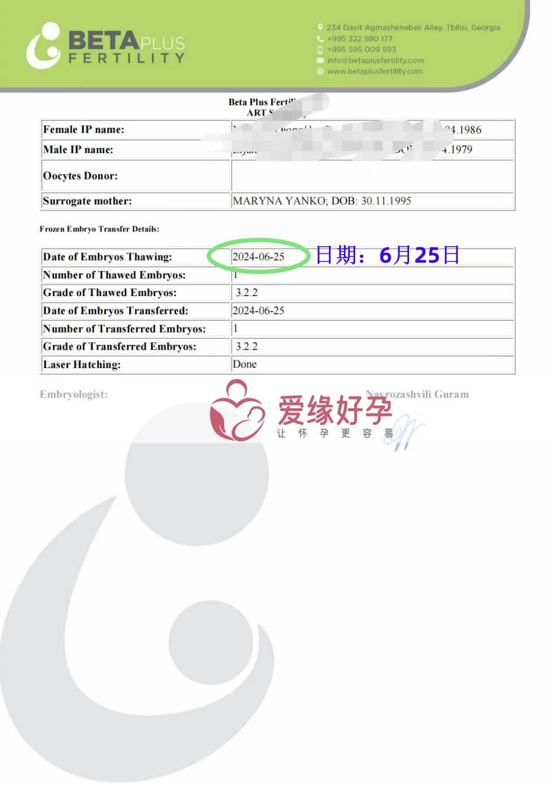爱缘好孕格鲁吉亚爱心妈妈顺利完成移植