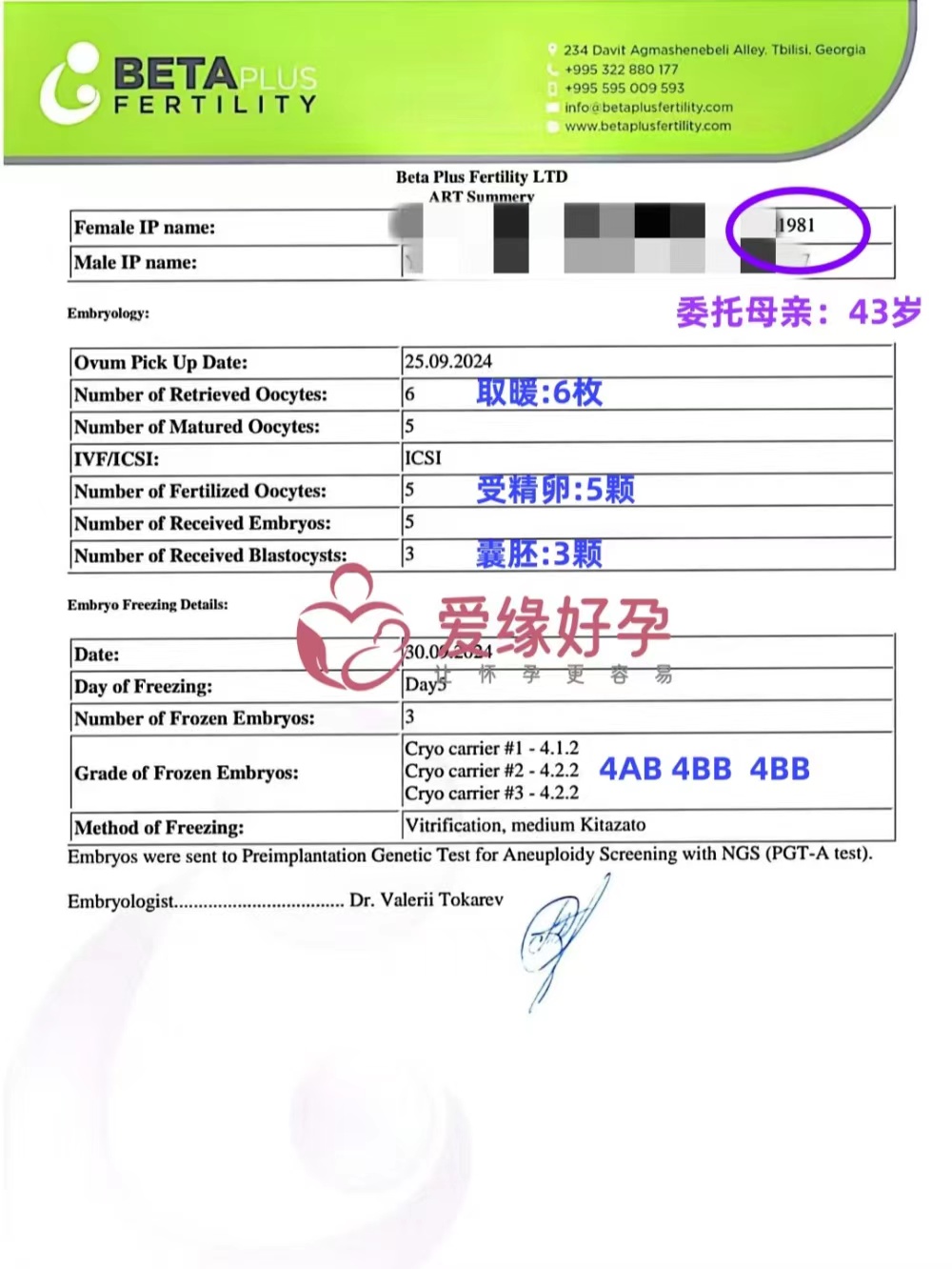 恭喜43岁Z女士在betaplus医院促排得到5个受精暖，最终养成3个囊胚（4AB/4BB/4BB）