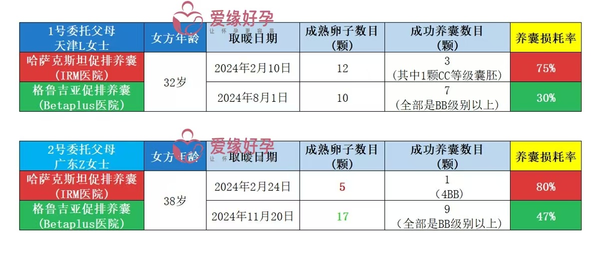 爱缘好孕: 不同国家促排养囊水平到底有多大？| 格鲁吉亚 vs 哈萨克斯坦