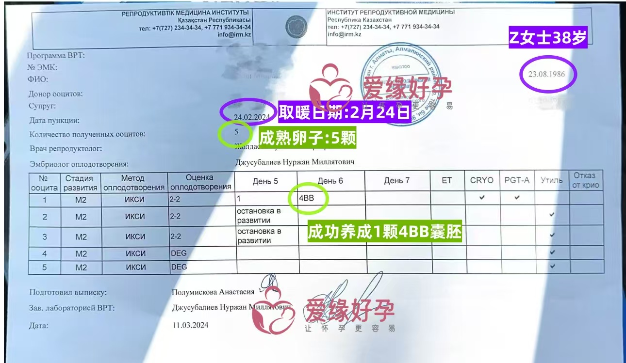 爱缘好孕: 不同国家促排养囊水平到底有多大？| 格鲁吉亚 vs 哈萨克斯坦