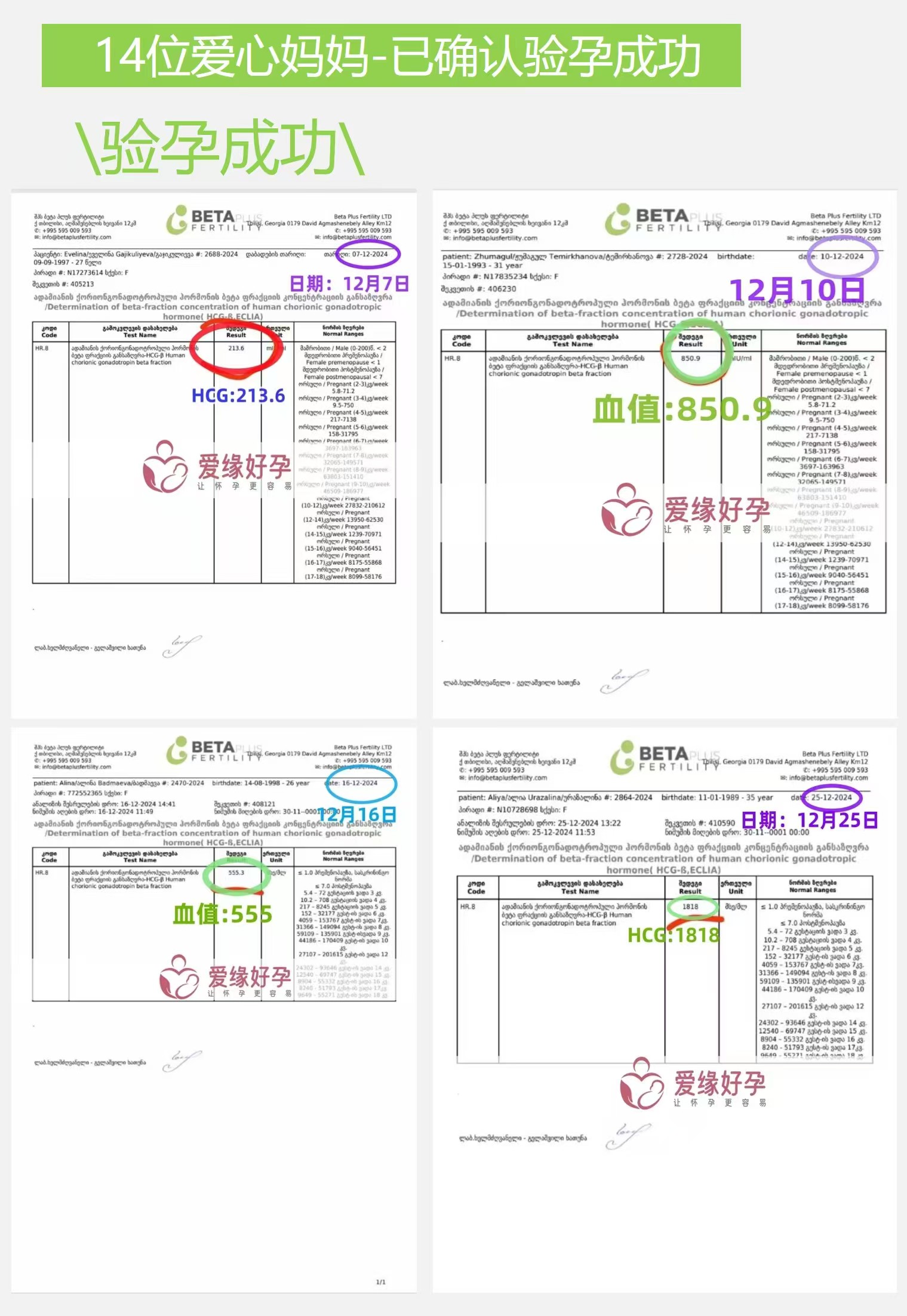 爱缘好孕好孕简报 | 2024年12月宝宝汇总