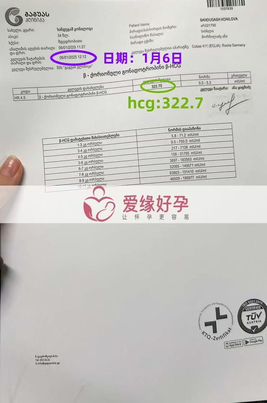 格鲁吉亚爱心使者验孕成功