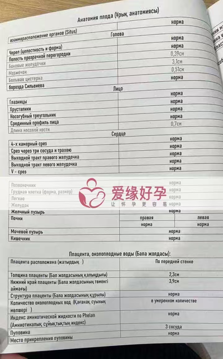 哈萨克斯坦爱心使者孕27周产检顺利通过