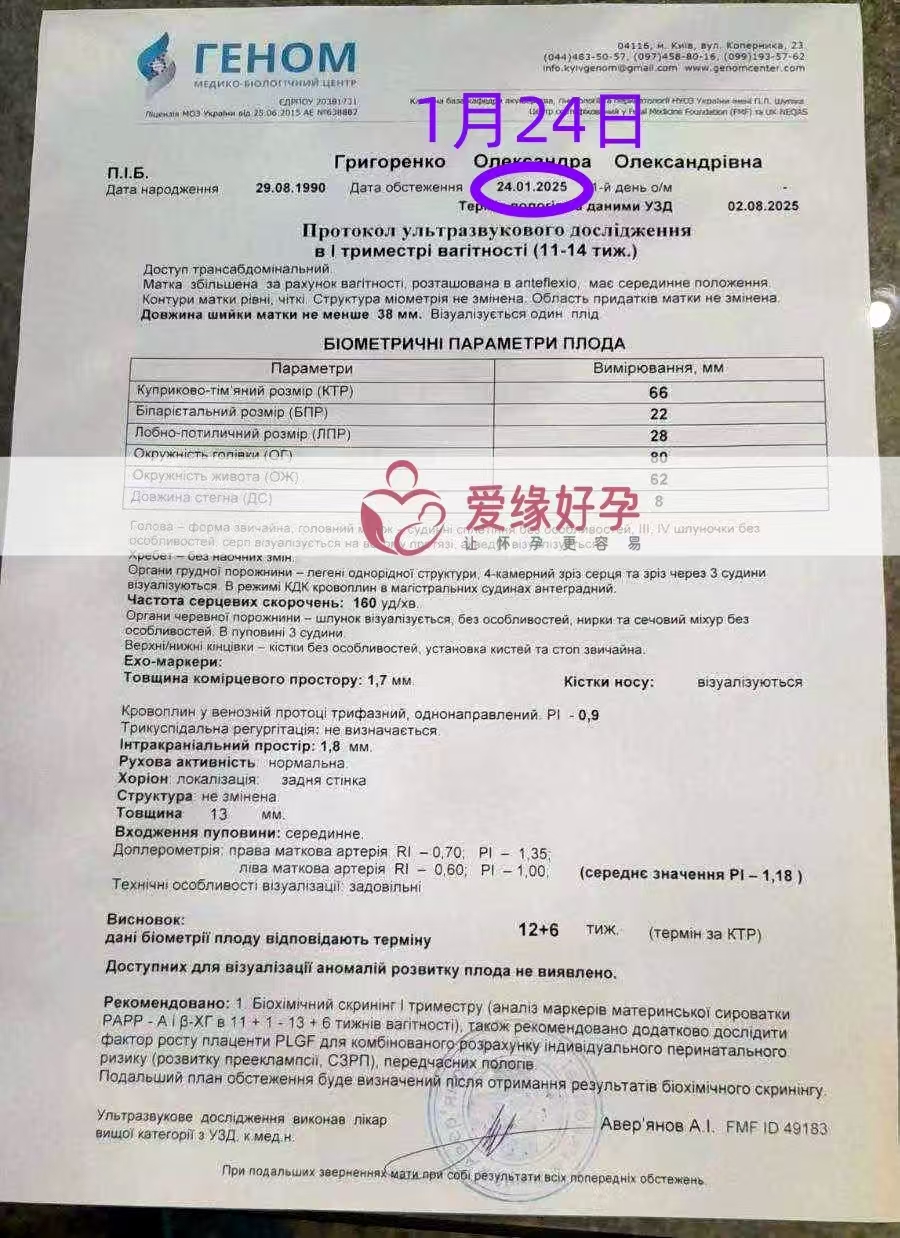 乌克兰试管婴儿助孕爱心使者12周+6天产检顺利通过