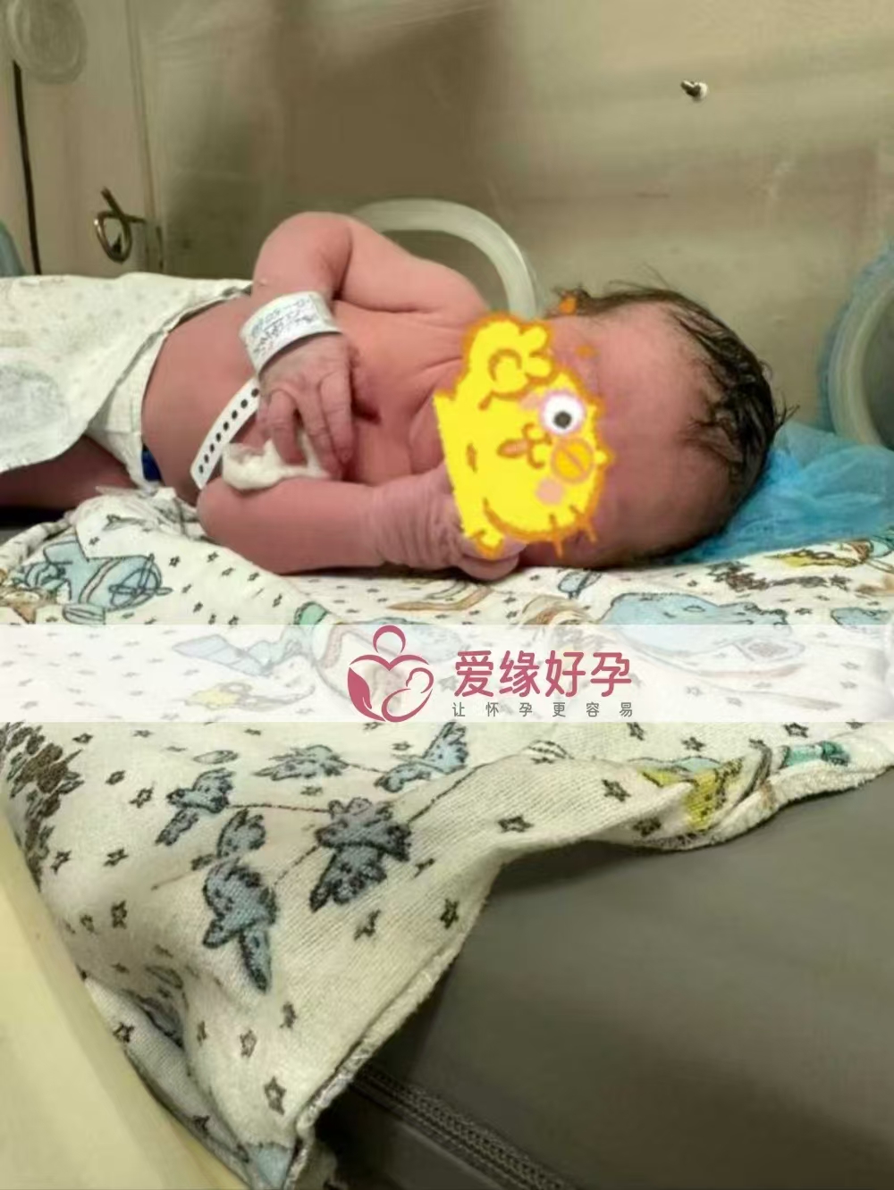 格鲁吉亚试管婴儿助孕爱心使者成功诞下新生命