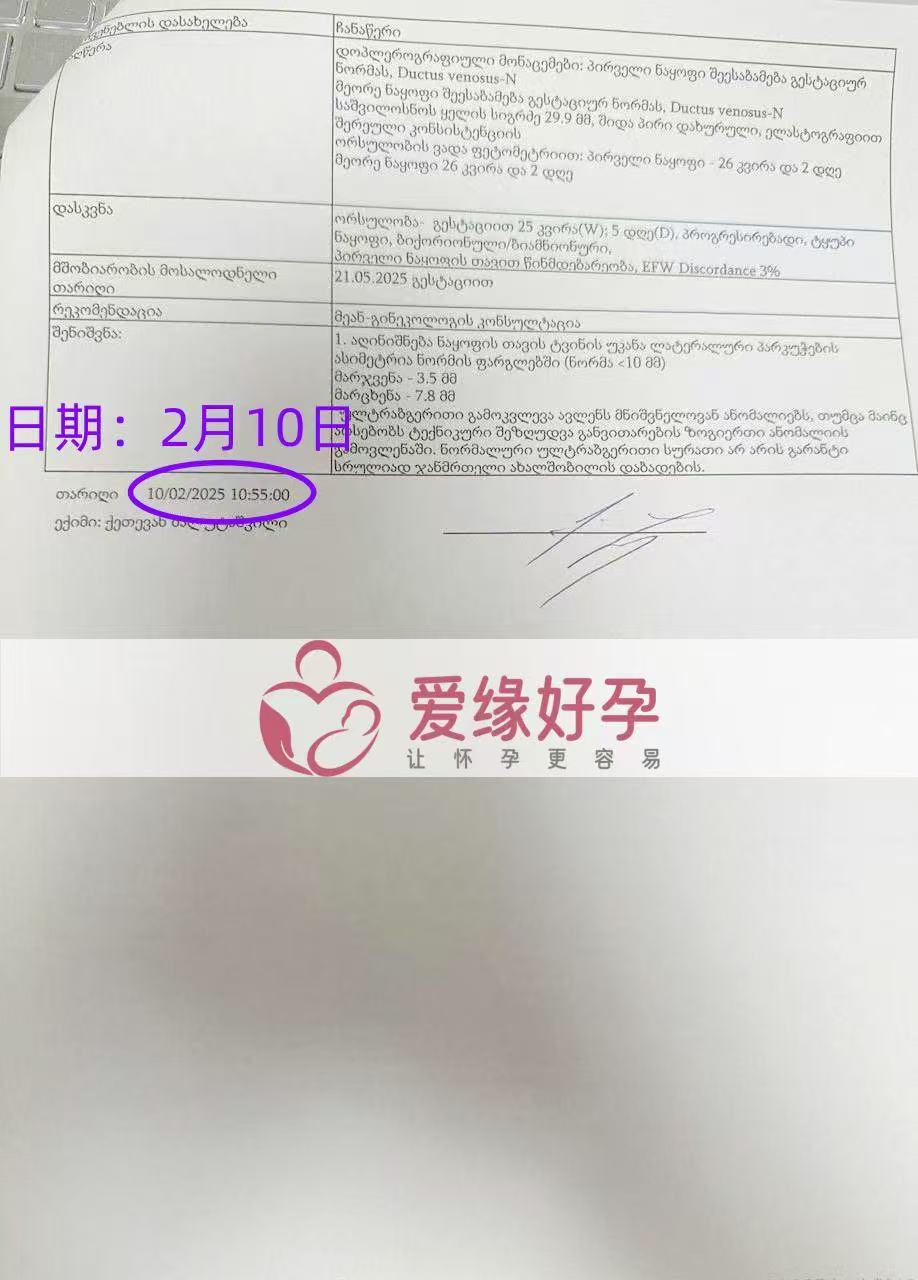 格鲁吉亚试管婴儿助孕爱心使者25周产检顺利通过